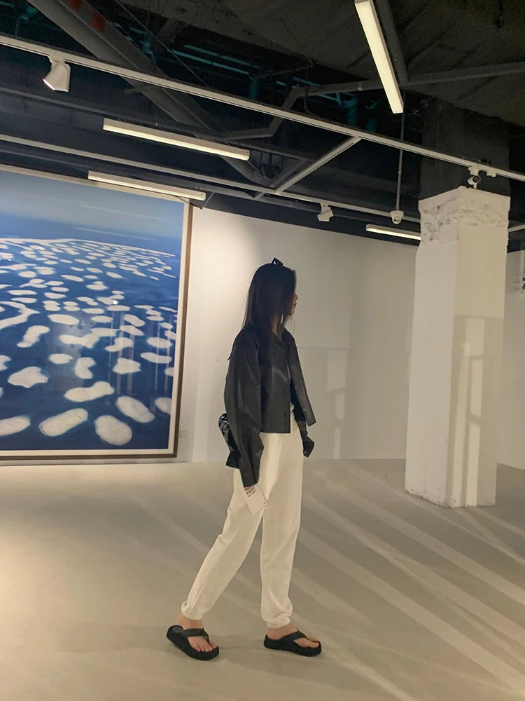 Nerazzurri Spring Autumn Brown Short Soft Pu Leather Jacket Women Long Sleeve Pocket Loose Casual Korean Fashion Clothing 2025